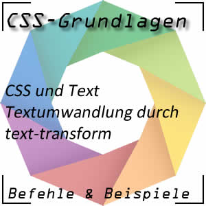 Text umwandeln mit CSS