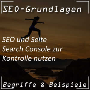 Search Console von Google